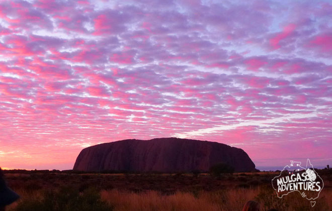 © Mulgas Adventures, Uluru with Purple Sky
