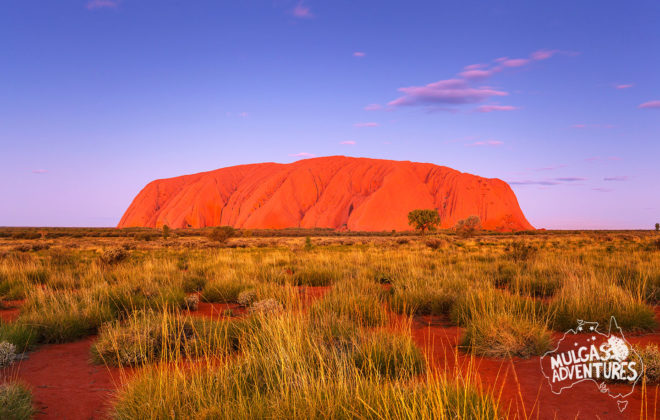 © Mulgas Adventures, background Uluru