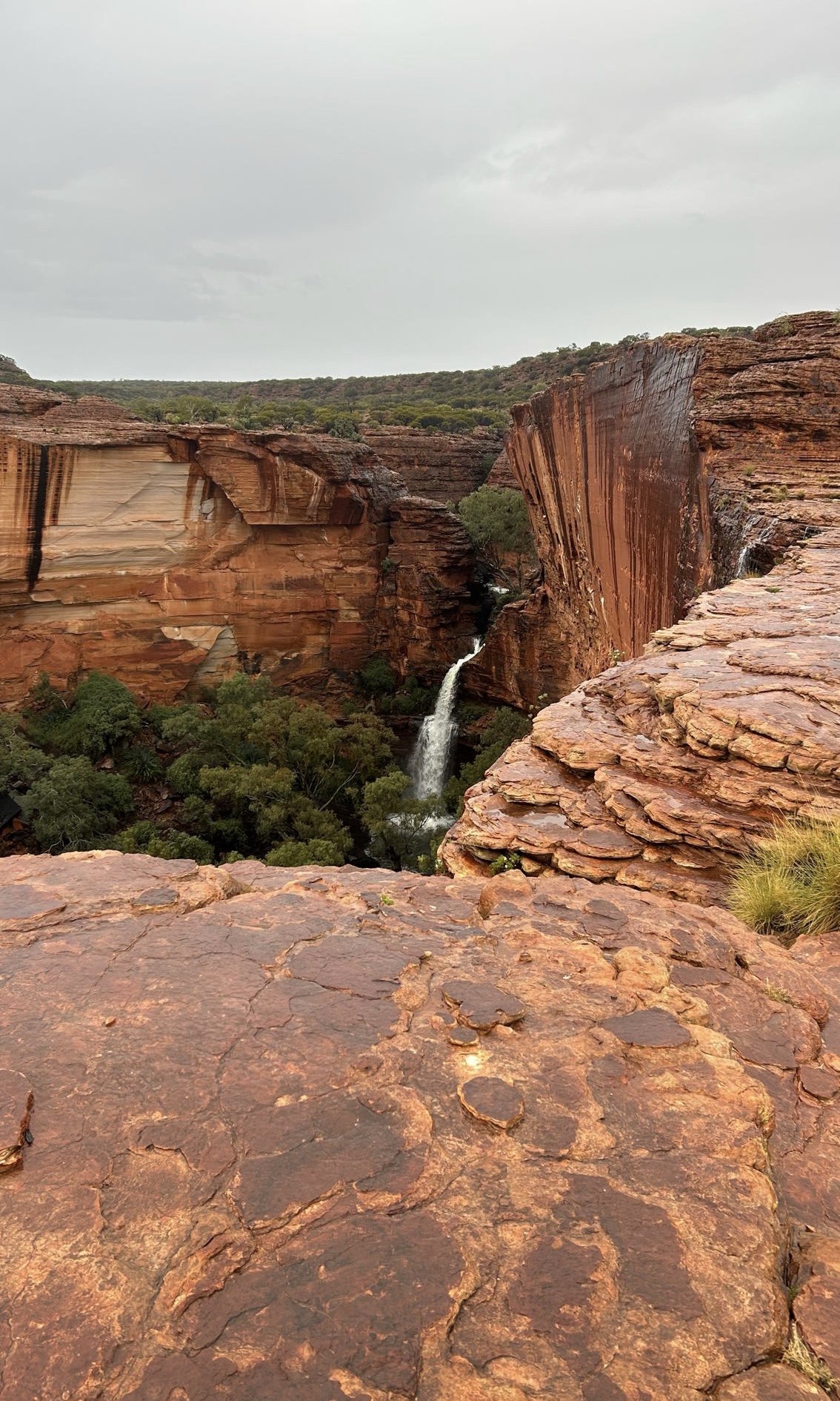 A stunning view of a waterfall cascading down the rocky cliffs of Kings Canyon, showcasing the natural beauty of the Australian outback.