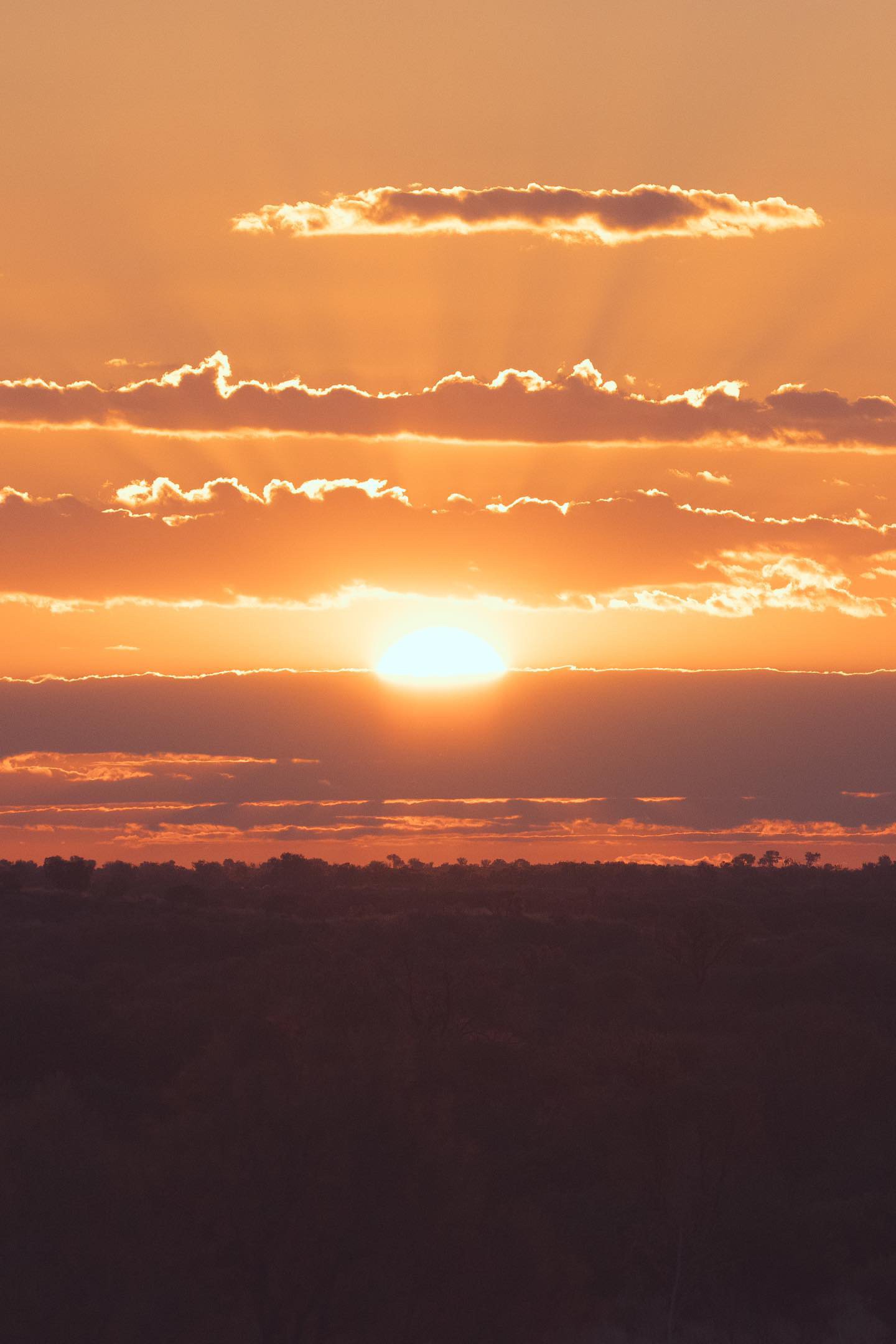 A captivating sunset paints the Central Australian sky with hues of orange and gold, offering a serene end to an adventurous day. Photo credit: Nastasia Klopp. Instagram: @nastasiaklopp