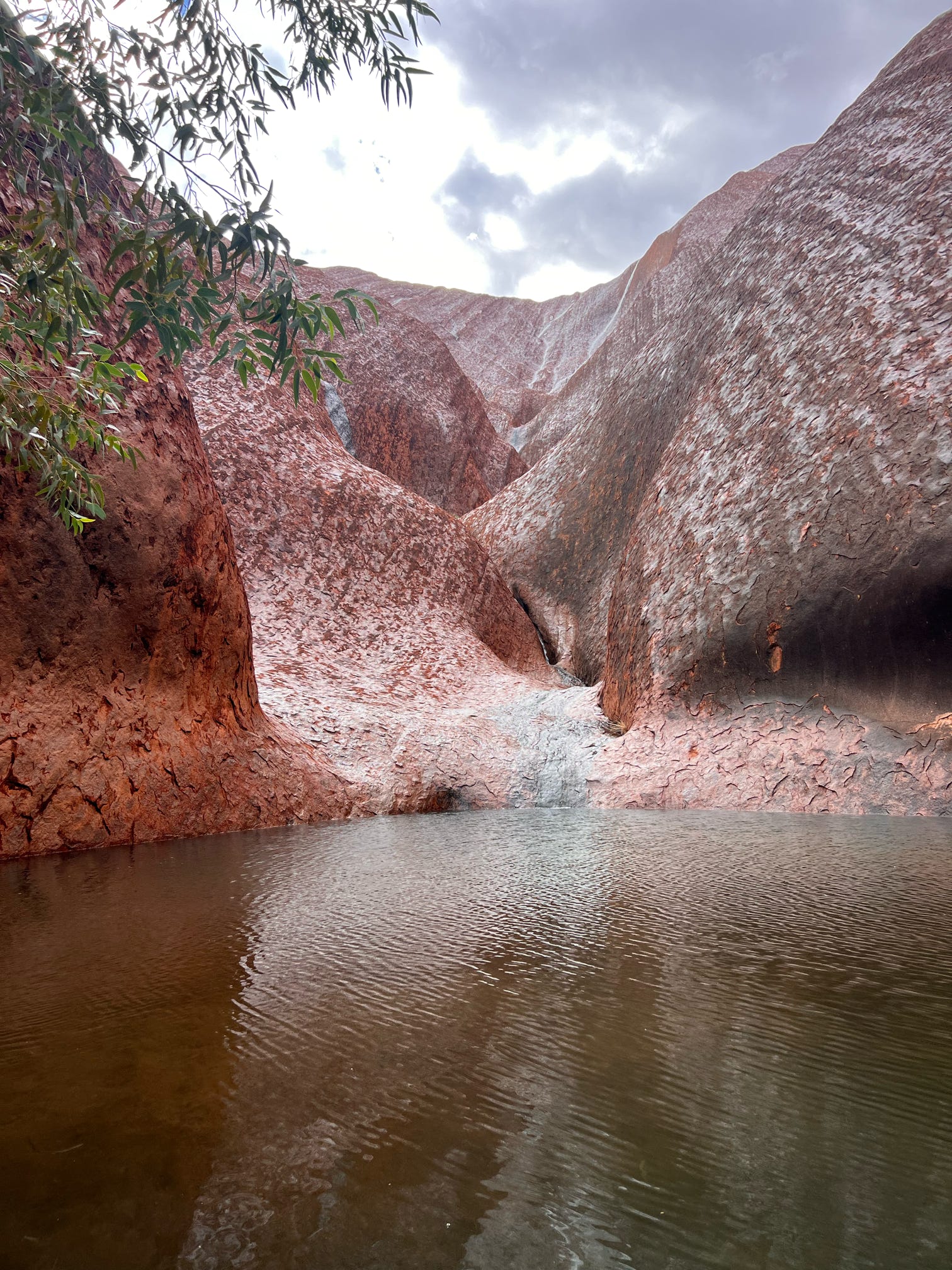A serene waterhole at the base of Uluru in Central Australia, capturing the natural beauty and tranquility of the outback landscape.