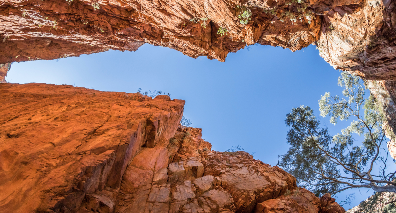 View looking up at the towering red rock walls of Standley Chasm with a clear blue sky above.