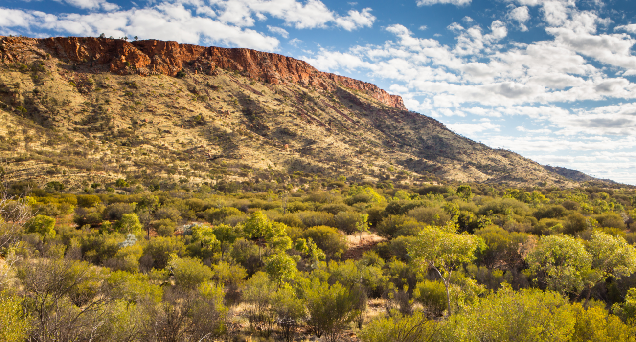 View of Mt Gillen in Alice Springs with a backdrop of blue skies and scattered clouds.