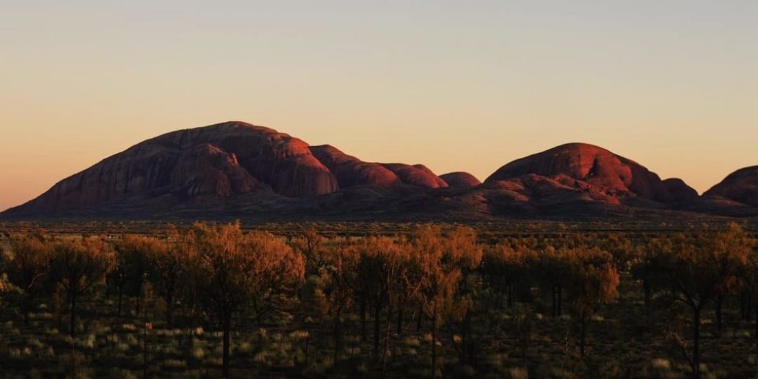 Golden hour at Kata Tjuta, with the domed rock formations bathed in warm sunlight against a lush green backdrop.